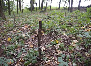 Vytýčení kaple v rámci Land-art festivalu 